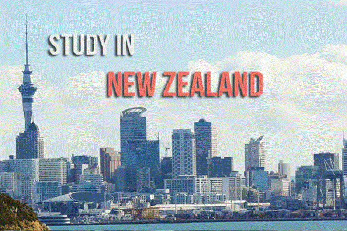 Thế nào là Trung tâm tư vấn du học New Zealand uy tín